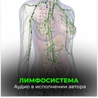 Георгий Сытин. Лимфосистема