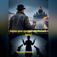 Владимир Кожедеев. Белая ночь правды над Мойкой. Книга 2