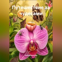 Наталия Королева. Путешествие за чудесами