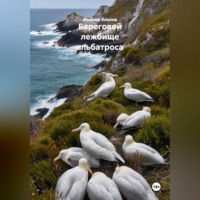 Максим Козлов. Береговой лежбище альбатроса