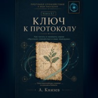 Александр Князев. Ключ к протоколу.