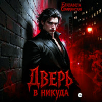 Елизавета Соболянская. Дверь в никуда