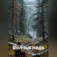 Ильгиз Гиматов. Волчья падь