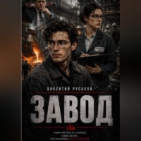 Викентий Русаков. Завод
