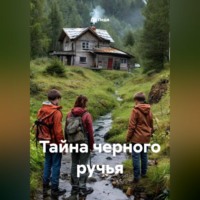 Ди Леди. Тайна черного ручья