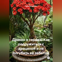 Война Владимир. Дракон в горшке. Как подружиться с драценой и не погубить её заботой