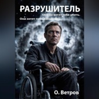. Разрушитель