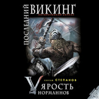 Сергей Степанов. Последний викинг. «Ярость норманнов»