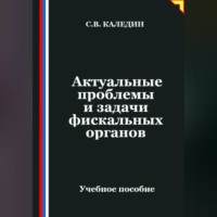 Сергей Каледин. Актуальные проблемы и задачи фискальных органов