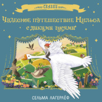 . Чудесное путешествие Нильса с дикими гусями