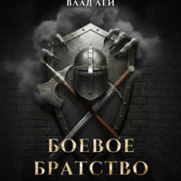 Влад Лей. Боевое Братство