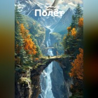 Ирина Одарчук Паули. Полёт