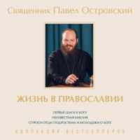священник Павел Островский. Жизнь в православии. Коллекция бестселлеров. Комплект из 3 книг