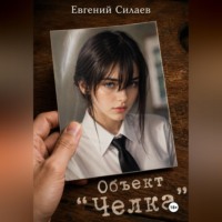 Евгений Андреевич Силаев. «Объект «Челка»