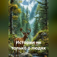 Любовь Фомина. Истории не только о людях