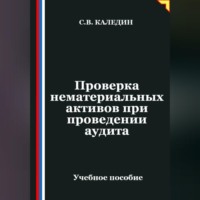 Сергей Каледин. Проверка нематериальных активов при проведении аудита