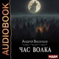 Андрей Васильев. Ровнин. Книга 4. Час волка