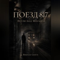 Викрам Сингх. Поезд 817. Петля под Москвой.