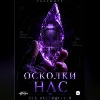 Разумник М. Осколки Нас. Под Наблюдением. Том 1.