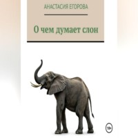 Анастасия Егорова. О чем думает слон