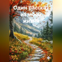 Диана Б. Один рассказ из моей жизни
