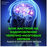 Георгий Сытин. Черепно-мозговые нервы