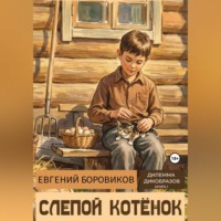 Евгений Боровиков. Слепой котёнок
