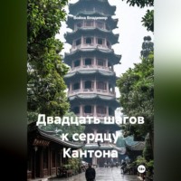 Война Владимир. Двадцать шагов к сердцу Кантона