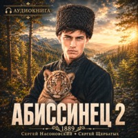 Сергей Насоновский. Абиссинец 1889. Том 2