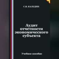 Сергей Каледин. Аудит отчетности экономического субъекта