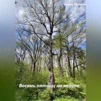 Елена Мачете. Восемь пятниц на неделе