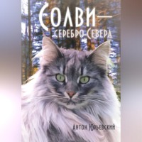 Антон Юрьевский. Солви - серебро Севера