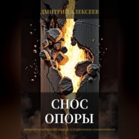 Дмитрий Алексеев. Снос опоры