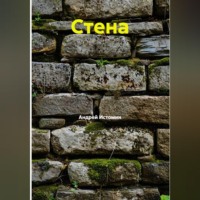 Андрей Истомин. Стена