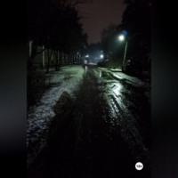 Ольга Мельникова. БОЛОТНЫЙ МИР