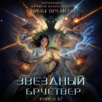 Юрий Тарарев. Звездный бруствер. Бойцы времени. Книга 12