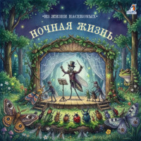 И. Любич-Кошуров. Ночная жизнь. Из жизни насекомых