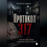 . Протокол 317