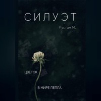 Рустам М.. Силуэт