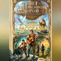 . Свет в каменном городе Сборник рассказов