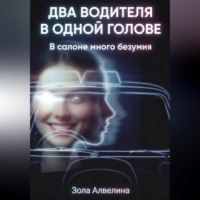 . Два водителя в одной голове. В салоне много безумия