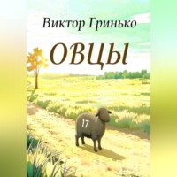 Виктор Гринько. Овцы