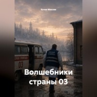 Кочев Максим. Волшебники страны 03