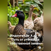 Война Владимир. Индоутки от А до Я: Путь от утёнка до собственной линии