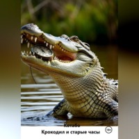  Котабо. Крокодил и старые часы