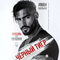. Черный Тигр. Любовь без правил