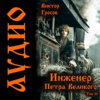 Виктор Гросов. Инженер Петра Великого – 11
