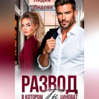 Лидия Лидова. Развод. В котором ты виноват!