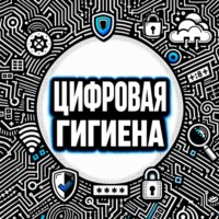 Анна Петровна Писаревская. Цифровая безопасность и гигиена. Нескучный аудиокурс по личной кибербезопасности