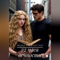 Ан Ми. 72 часа вечности